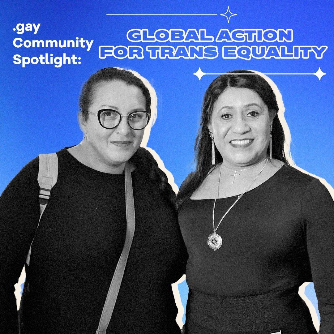 .gay Community Spotlight Interview : GATE - Global Action for Trans Equality