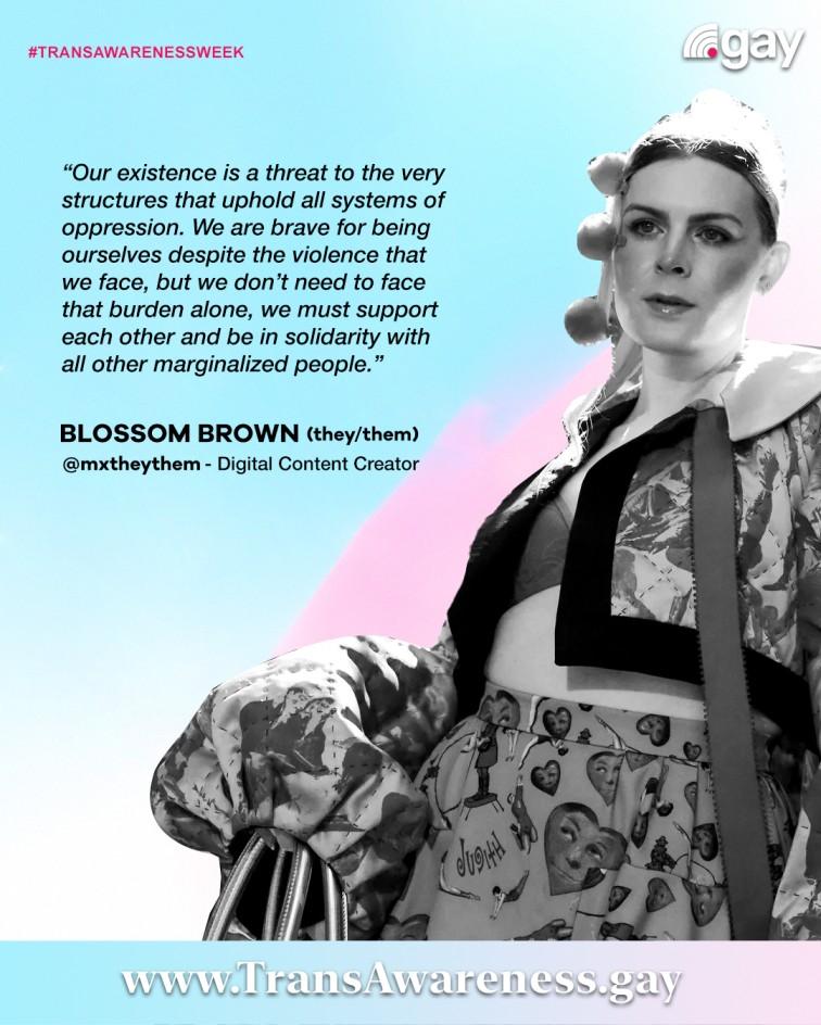 Trans Awareness Week: Celebrating Trans Creators, Highlighting their Stories.