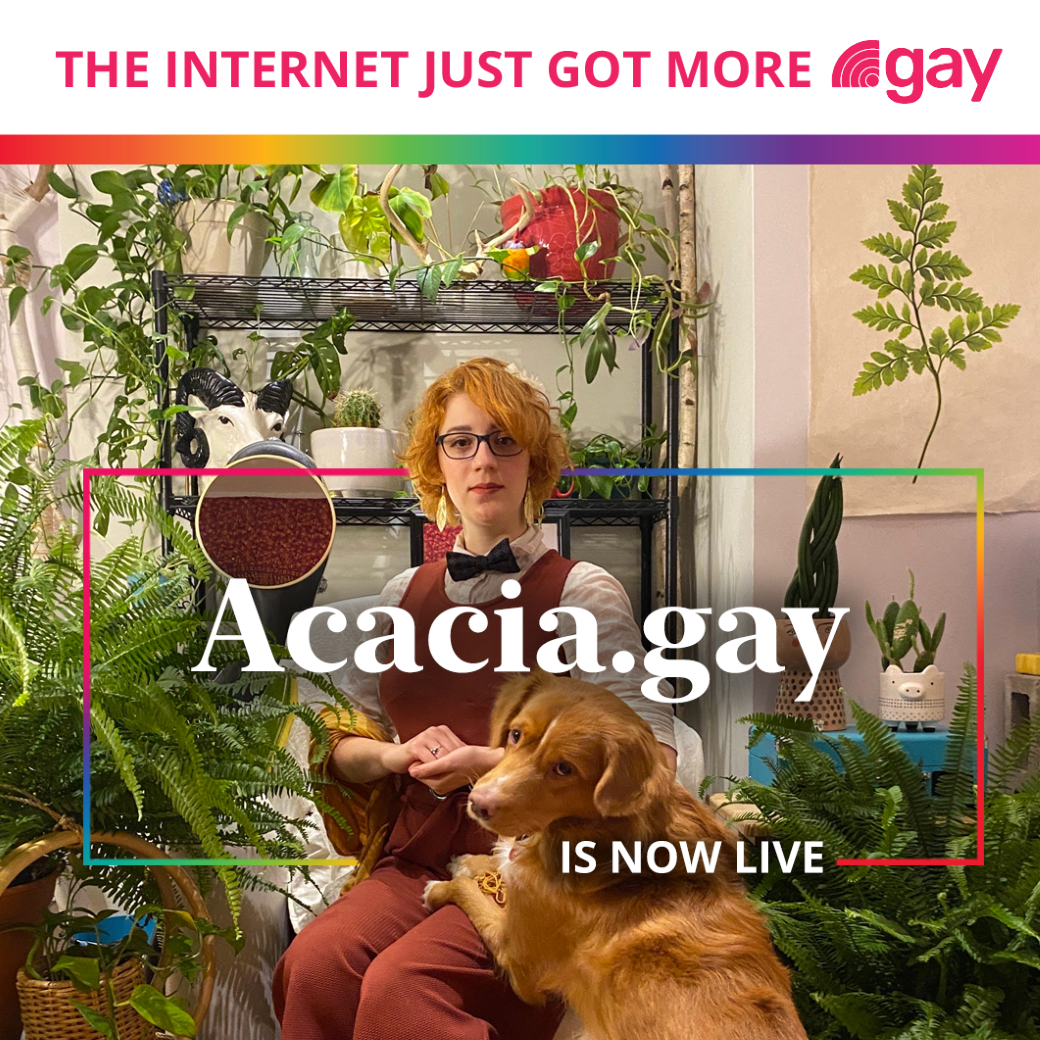 Acacia.gay Coordinates Cinematic Intimacy